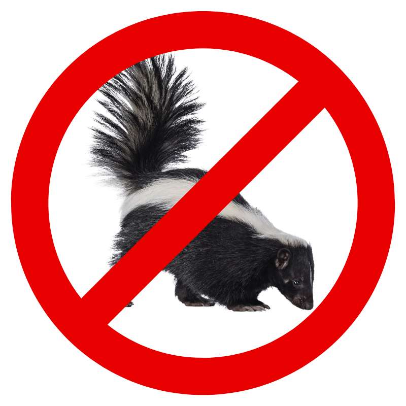 Rat Rodent Exterminators in Simi Valley and Ventura County CA